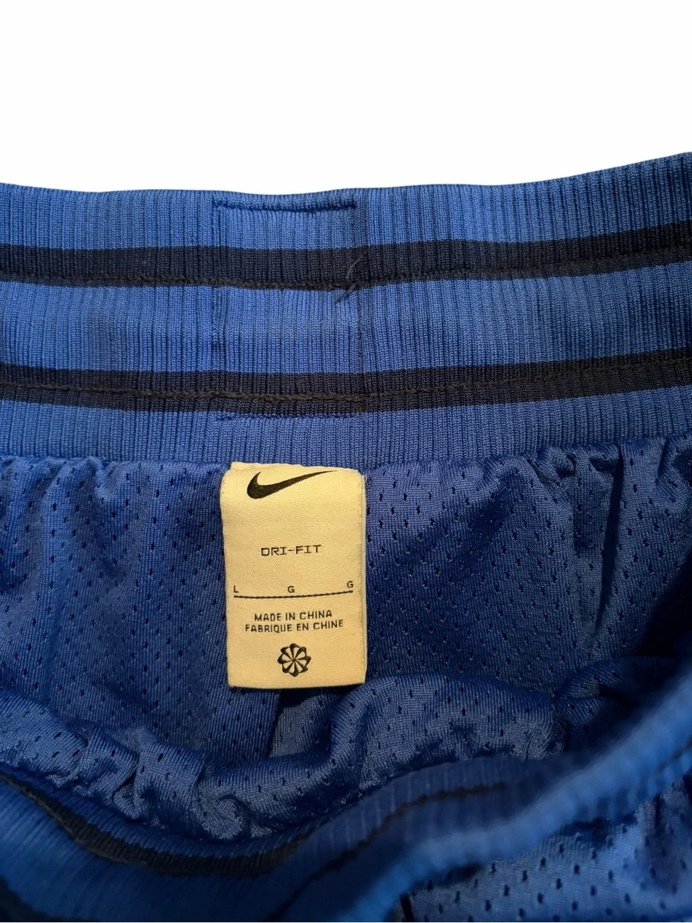 Nike embroidered men’s L blue shorts